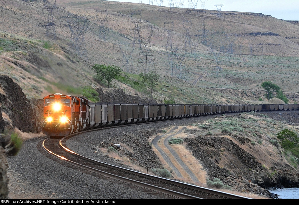 BNSF 5905